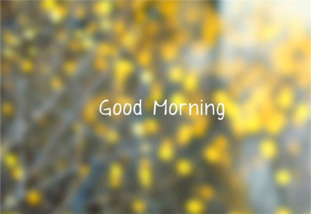 早上好Good Morning的早安图片